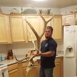   ANTLERS:6x5
  