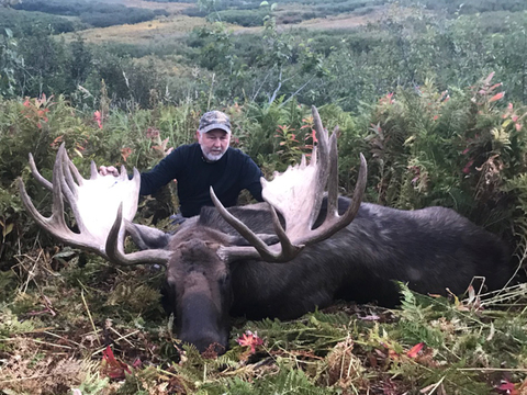 Alaska Peninsula or Cook Inlet Alaskan Moose Hunt 