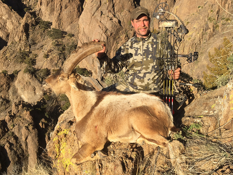 New Mexico Trophy Persian Ibex