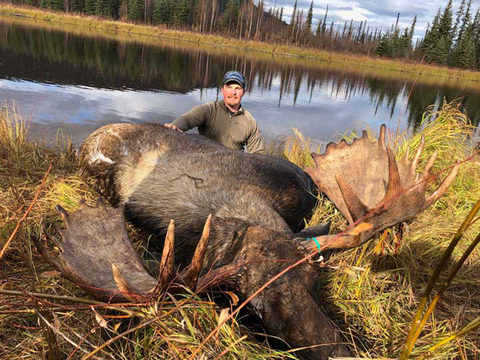 Interior or Coastal Alaska Trophy Moose Hunt