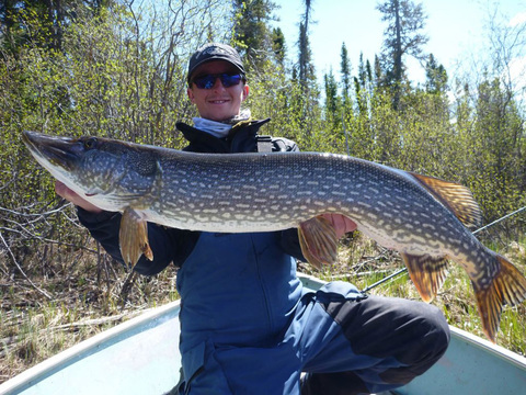 Manitoba Fly-In Trophy Pike Fishing Lodge and Outpost Camps