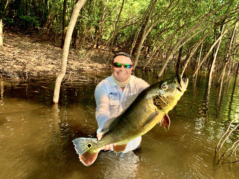 Giant Amazon Peacock Bass