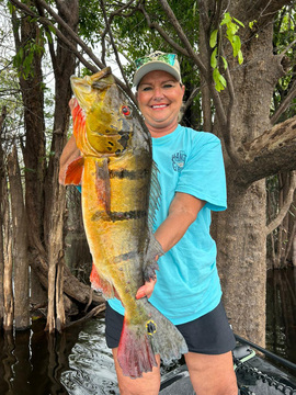 Giant Amazon Peacock Bass