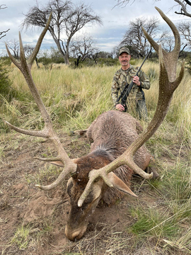 Argentina Red Stag on Private Land