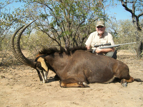 Mozambique Cape Buffalo and Plains Game