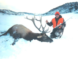The Shelton Ranch elk hunters may enjoy hunting hundreds of elk as they migrate to their winter range.